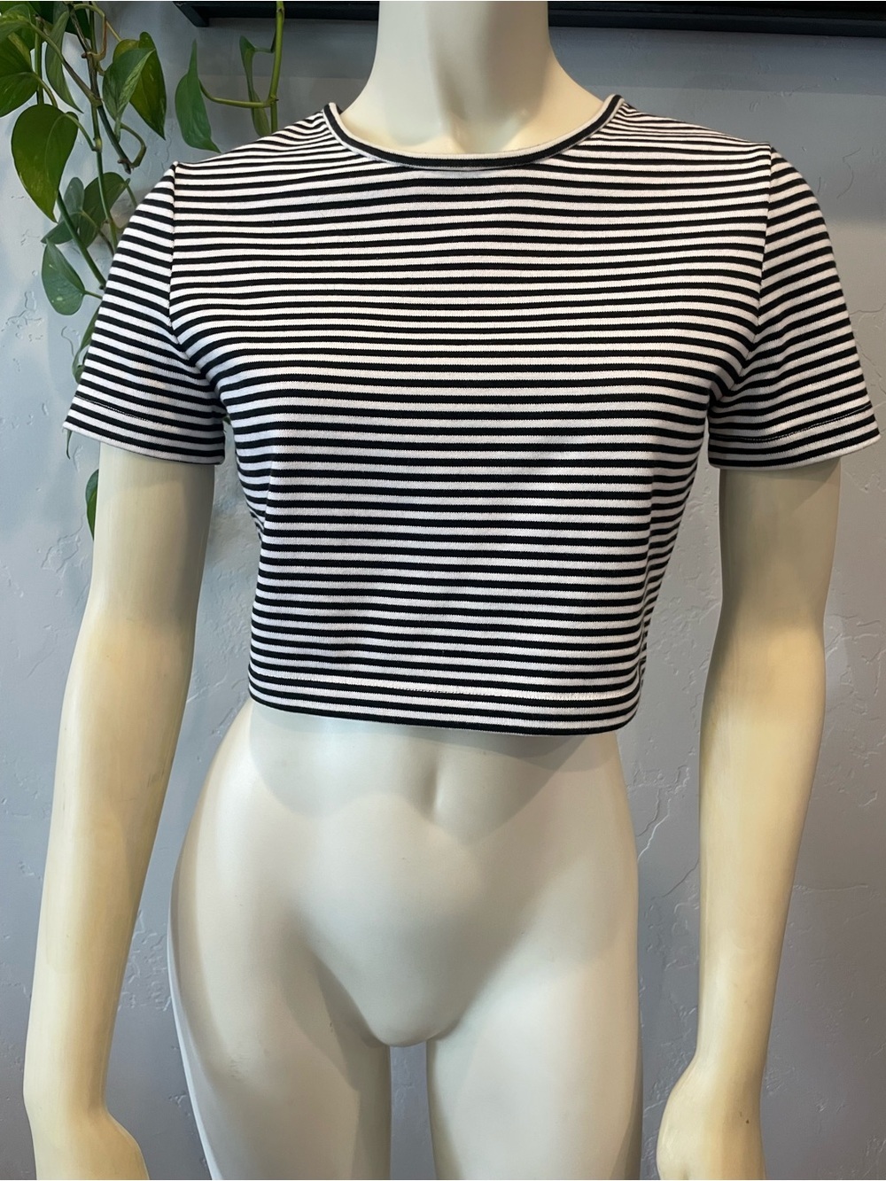 NWT Kate Spade Black & White Striped Crop Tee - 100% cotton Classic XS